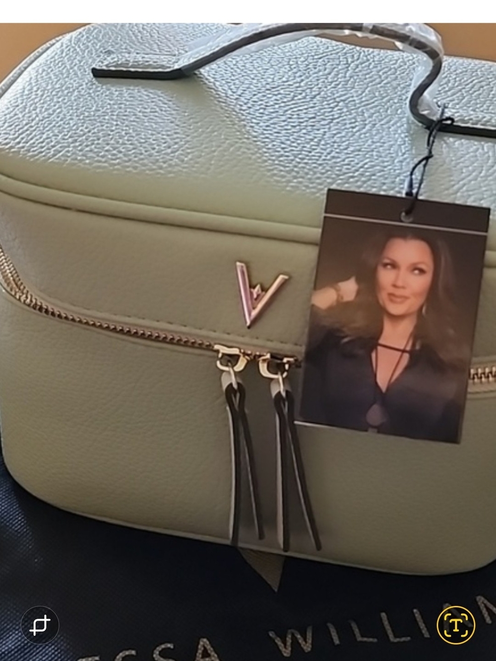 Vanessa Williams Mint Green Cosmetic Case with Gold Hardware